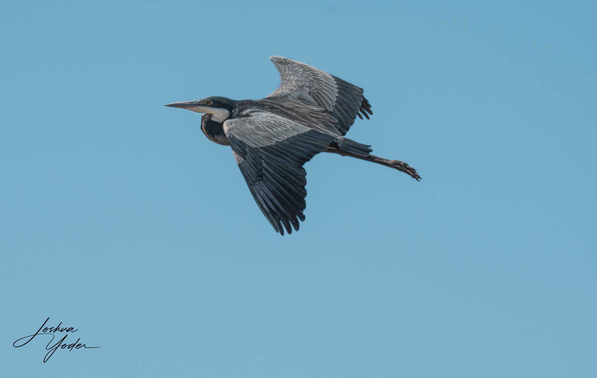 20250107-_SAF5223Capetown7th