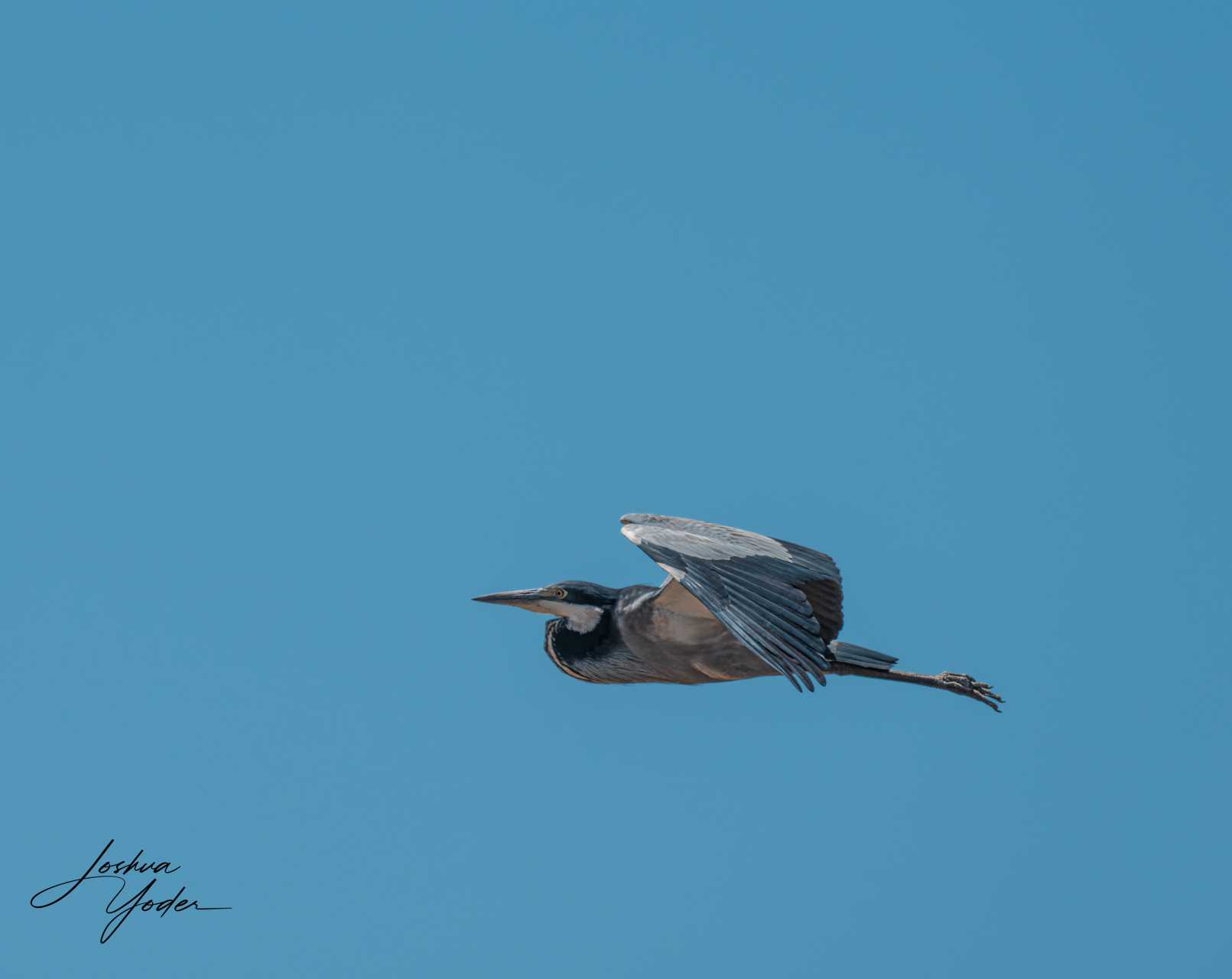 20250107-_SAF5227Capetown7th