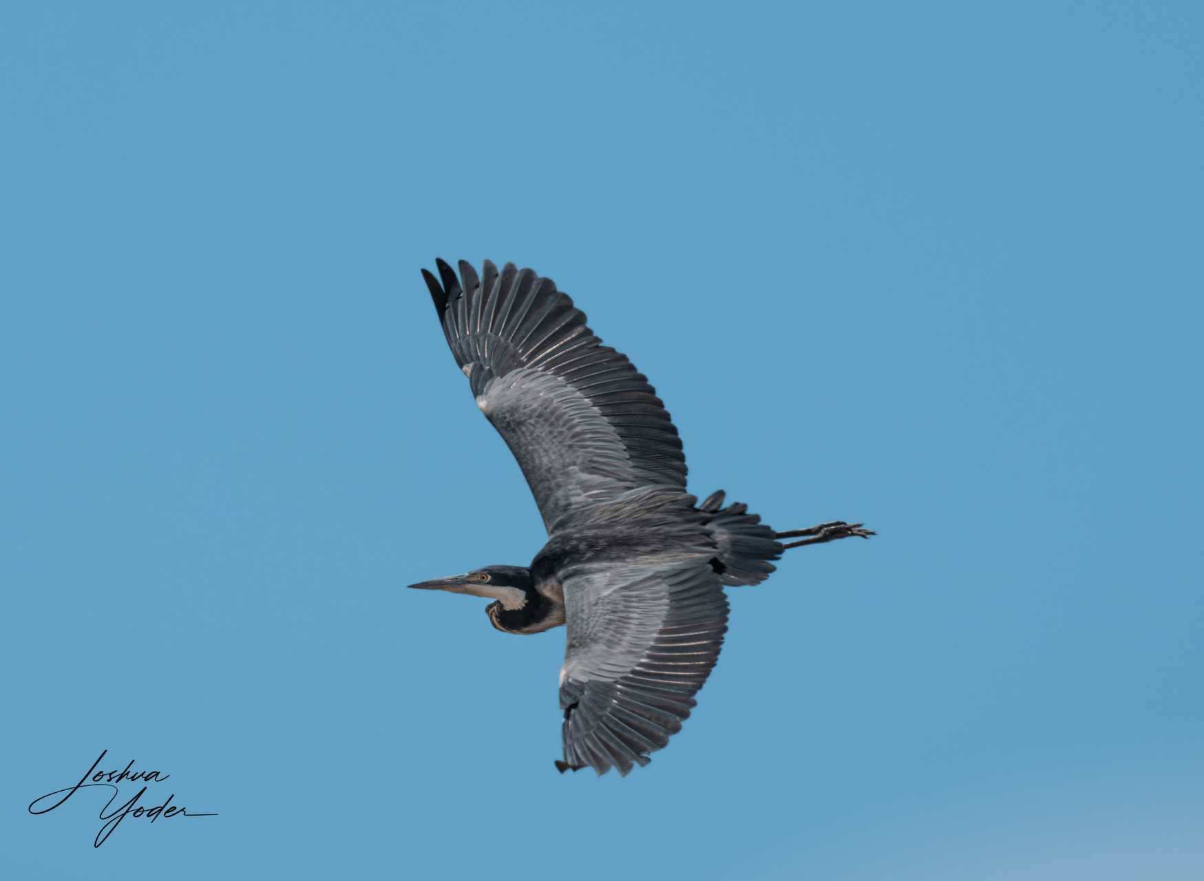 20250107-_SAF5240Capetown7th