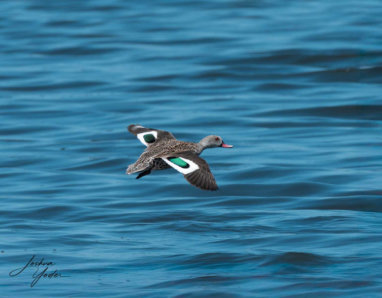 20250107-_SAF4664Capetown7th-Edit