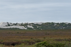 STA1448Westerncape9th
