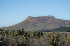 STA2488Westerncape9th