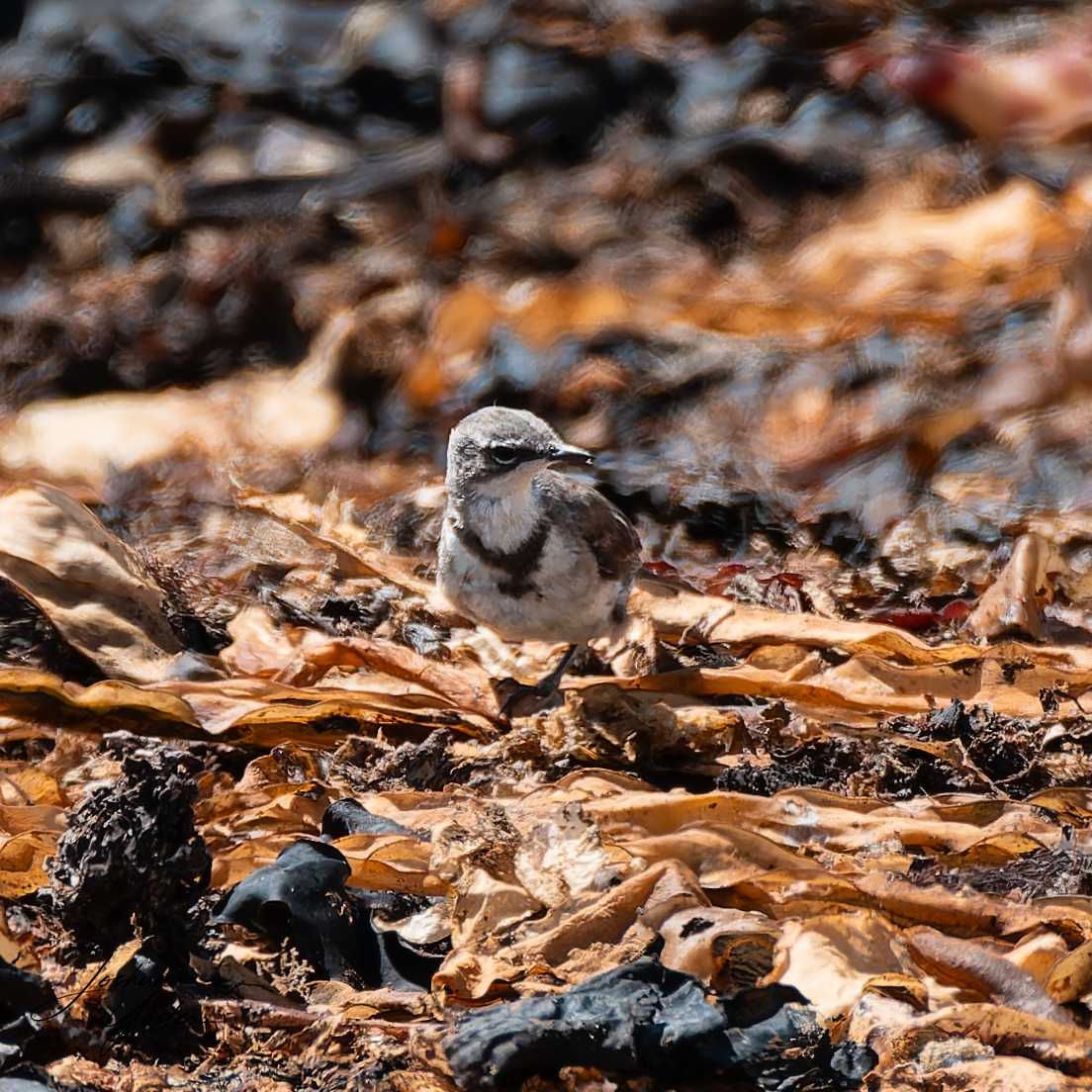 20250106-_SAF9474social-media