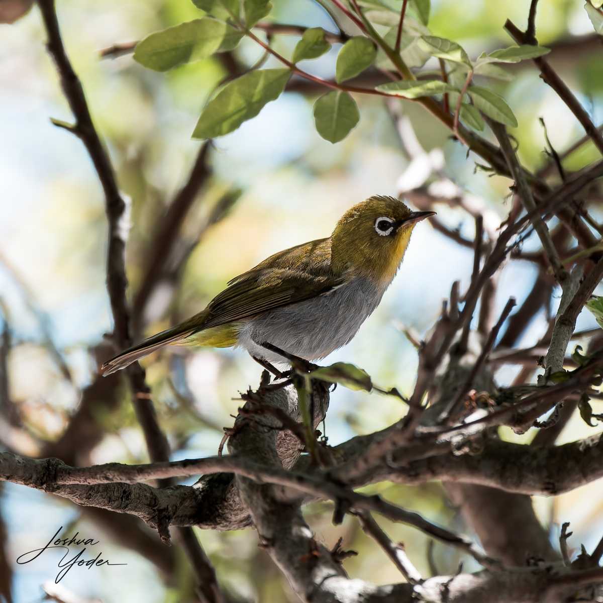 20250106-_SAF9104social-media