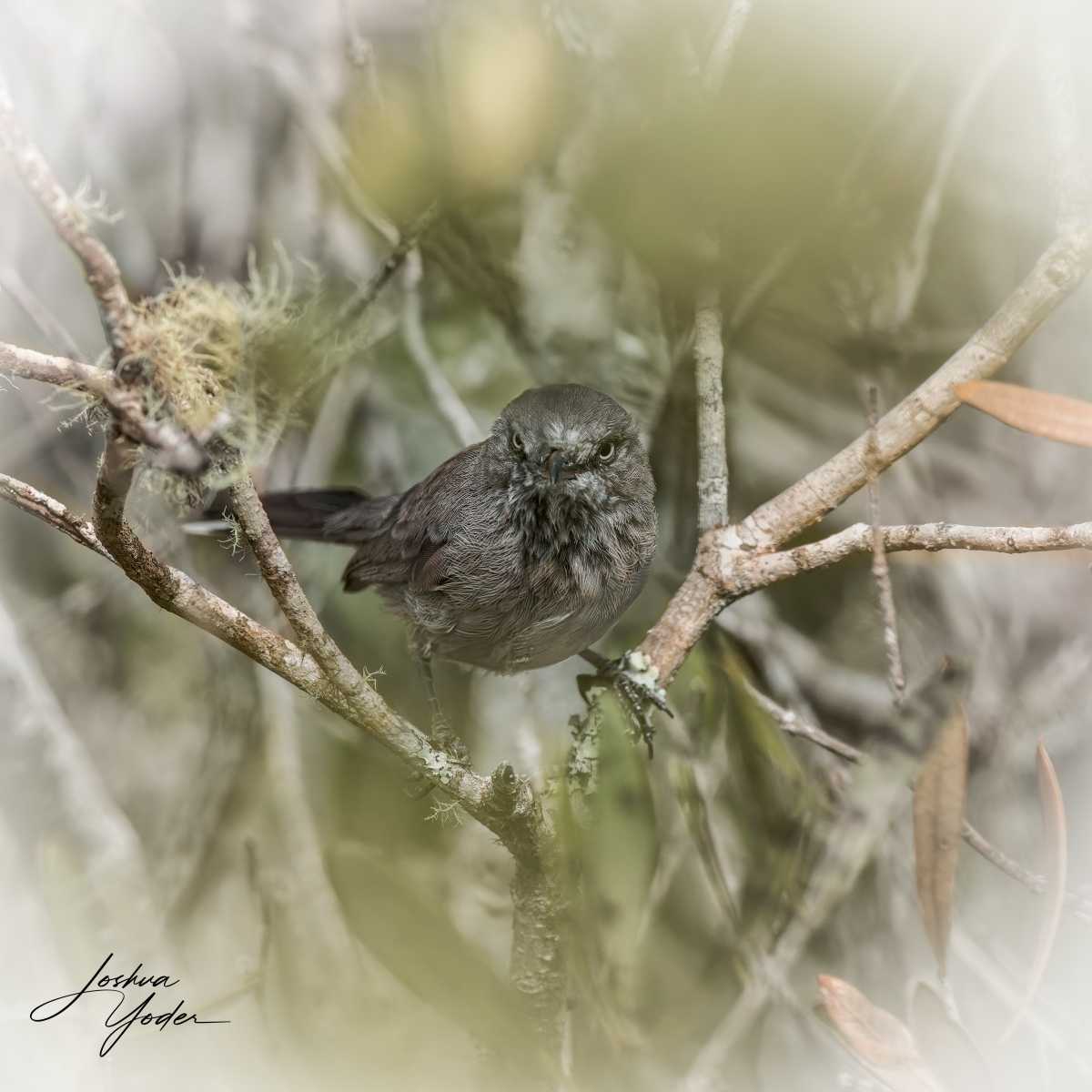 20250111-_SAF0488Westerncape11thsocial-media