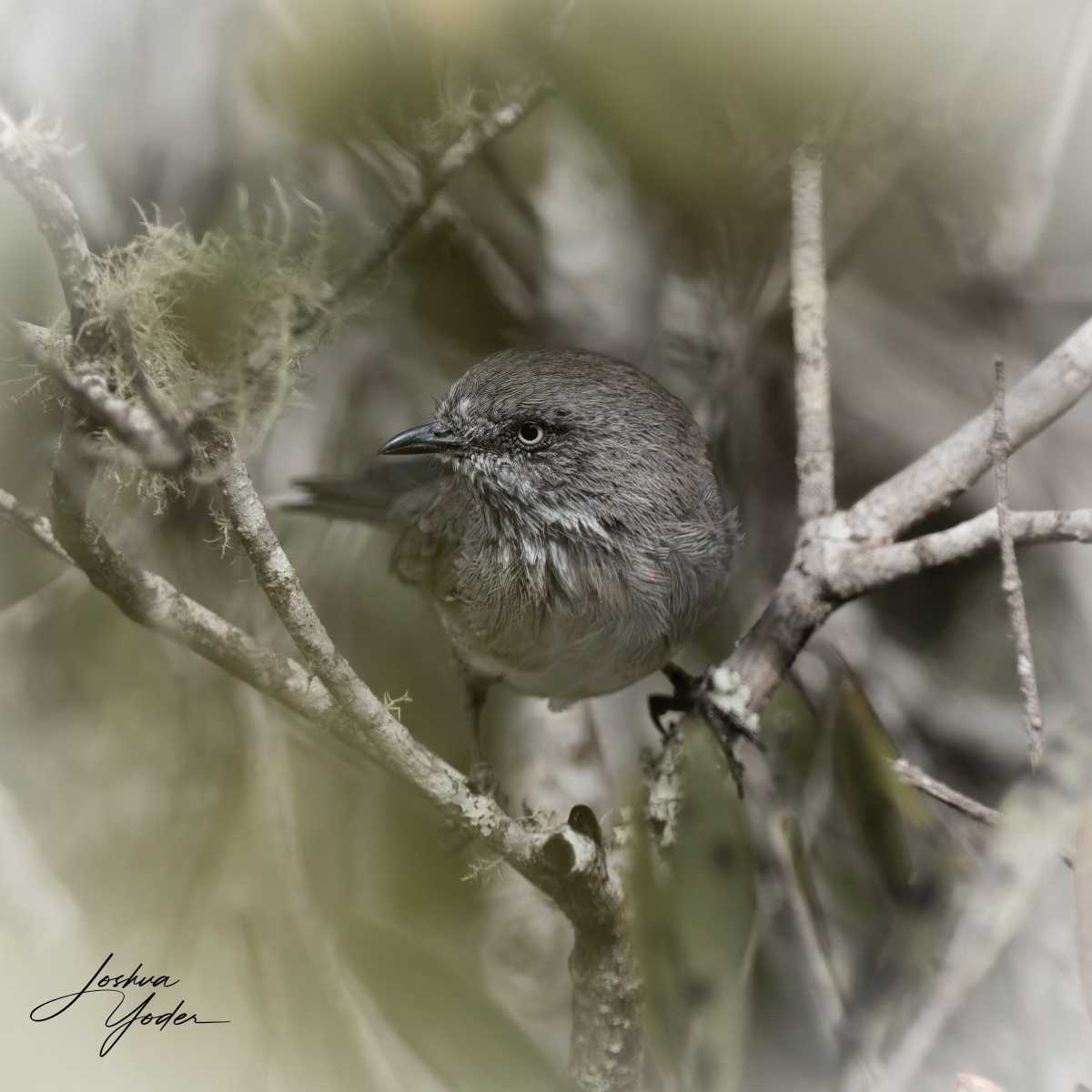 20250111-_SAF0497Westerncape11thsocial-media