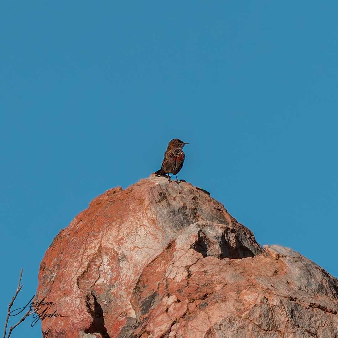 20250110-_SAF1490Westerncape10thsocial-media