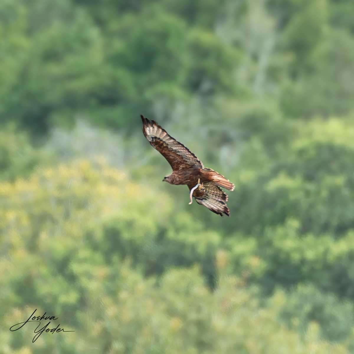 20250107-_SAF3000Capetown7thsocial-media