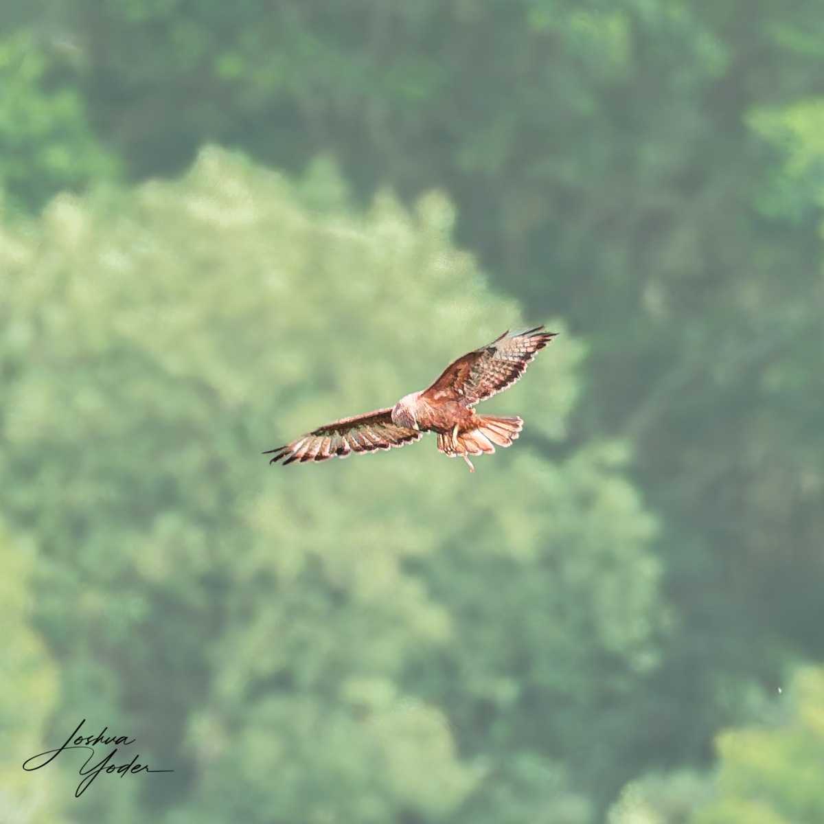 20250107-_SAF3014Capetown7thsocial-media