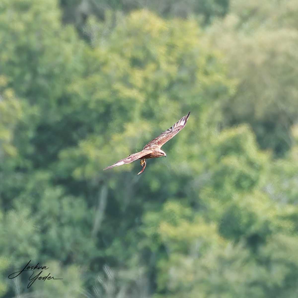 20250107-_SAF3036Capetown7thsocial-media