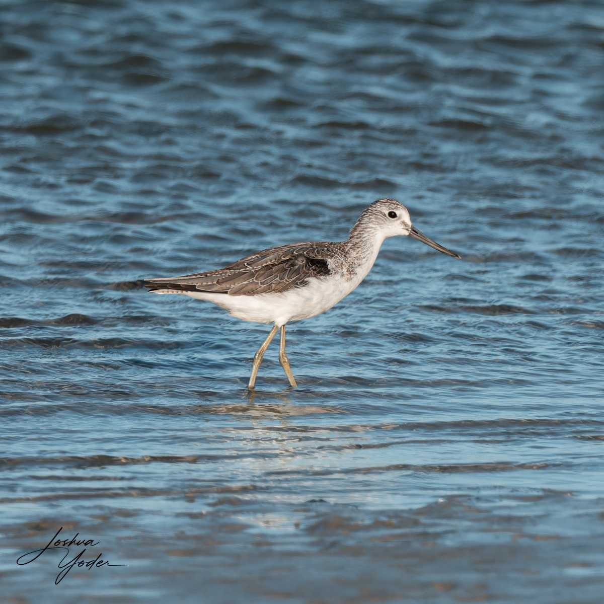 20250110-_SAF5371Westerncape10thsocial-media