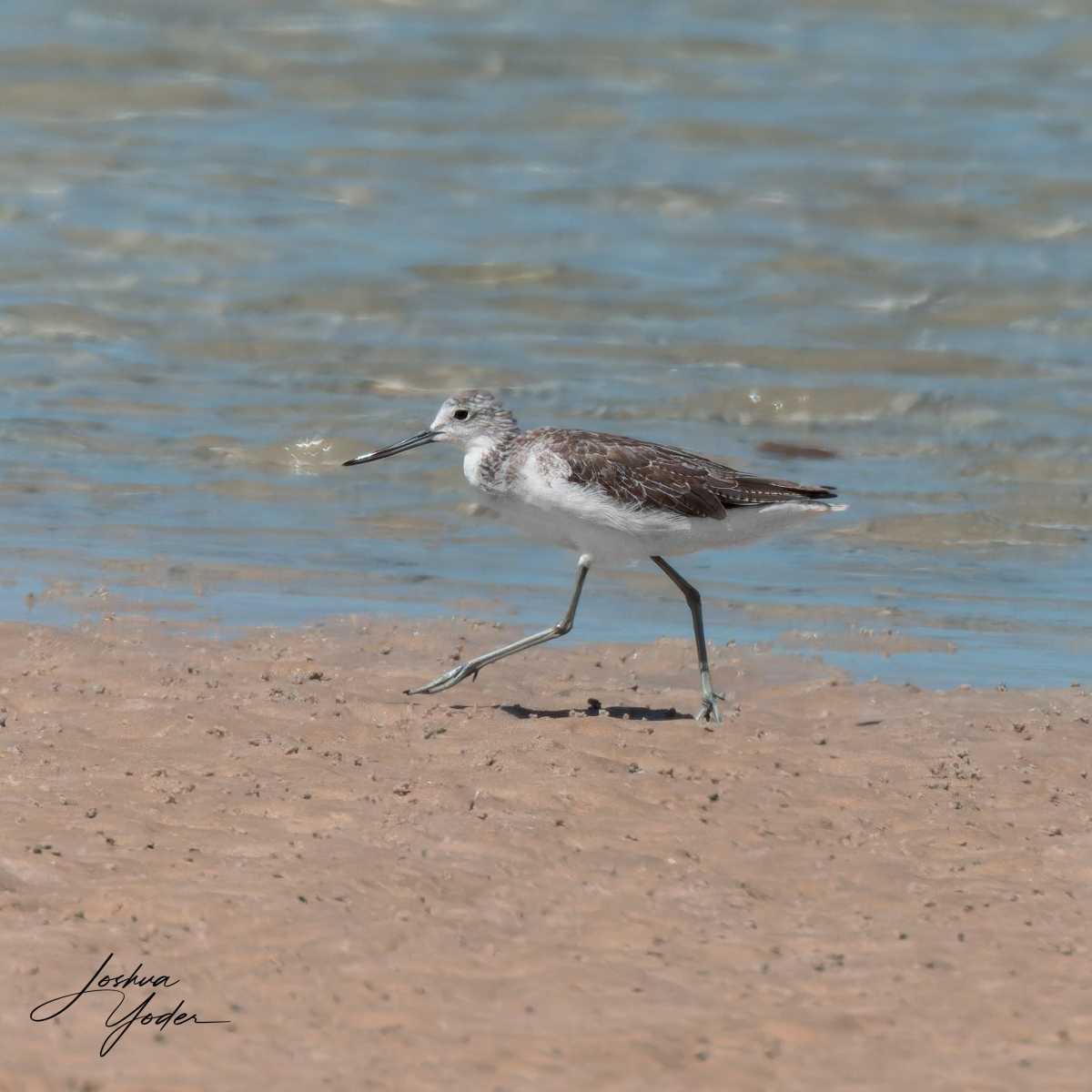 20250111-_SAF8292Westerncape11thsocial-media