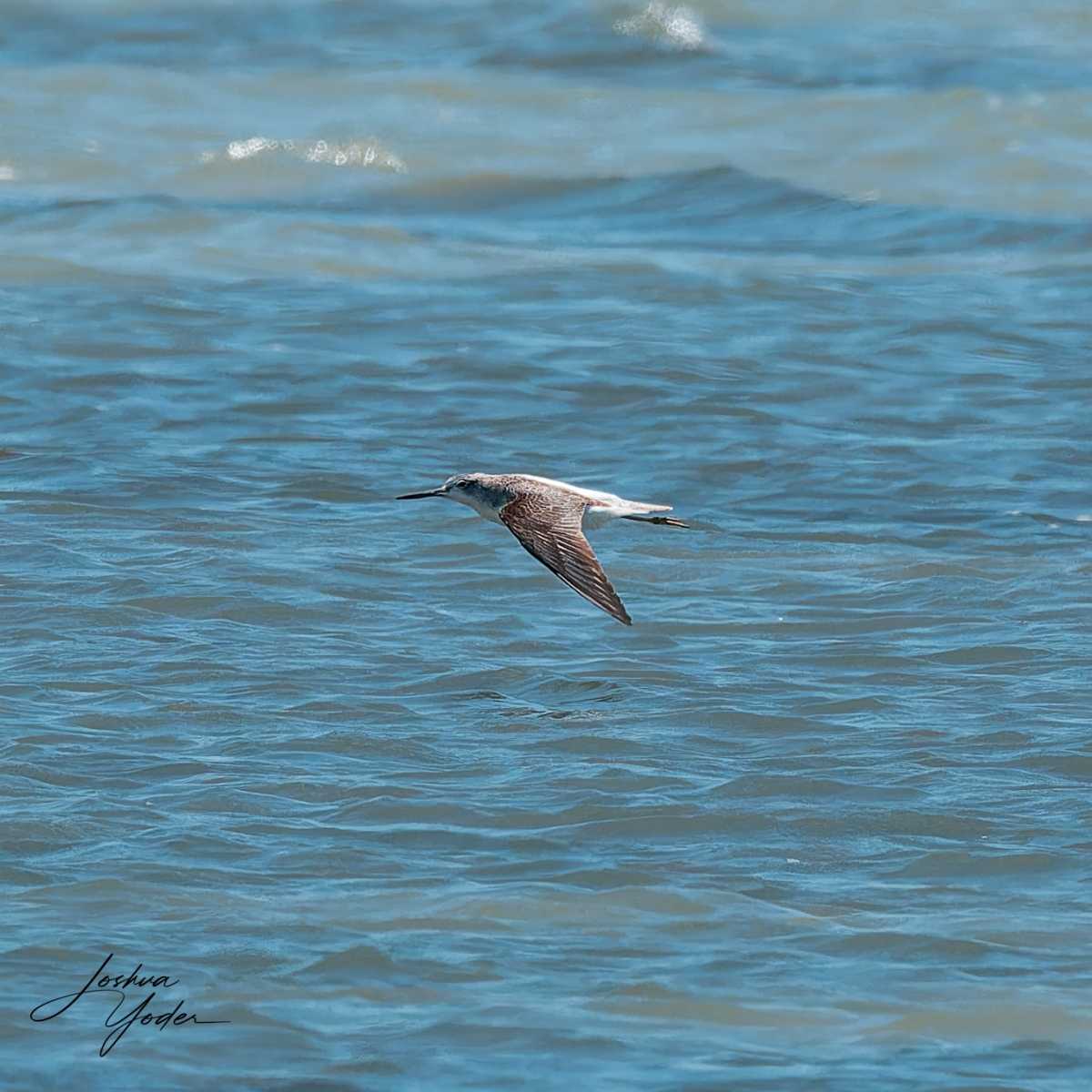 20250111-_SAF8928Westerncape11thsocial-media