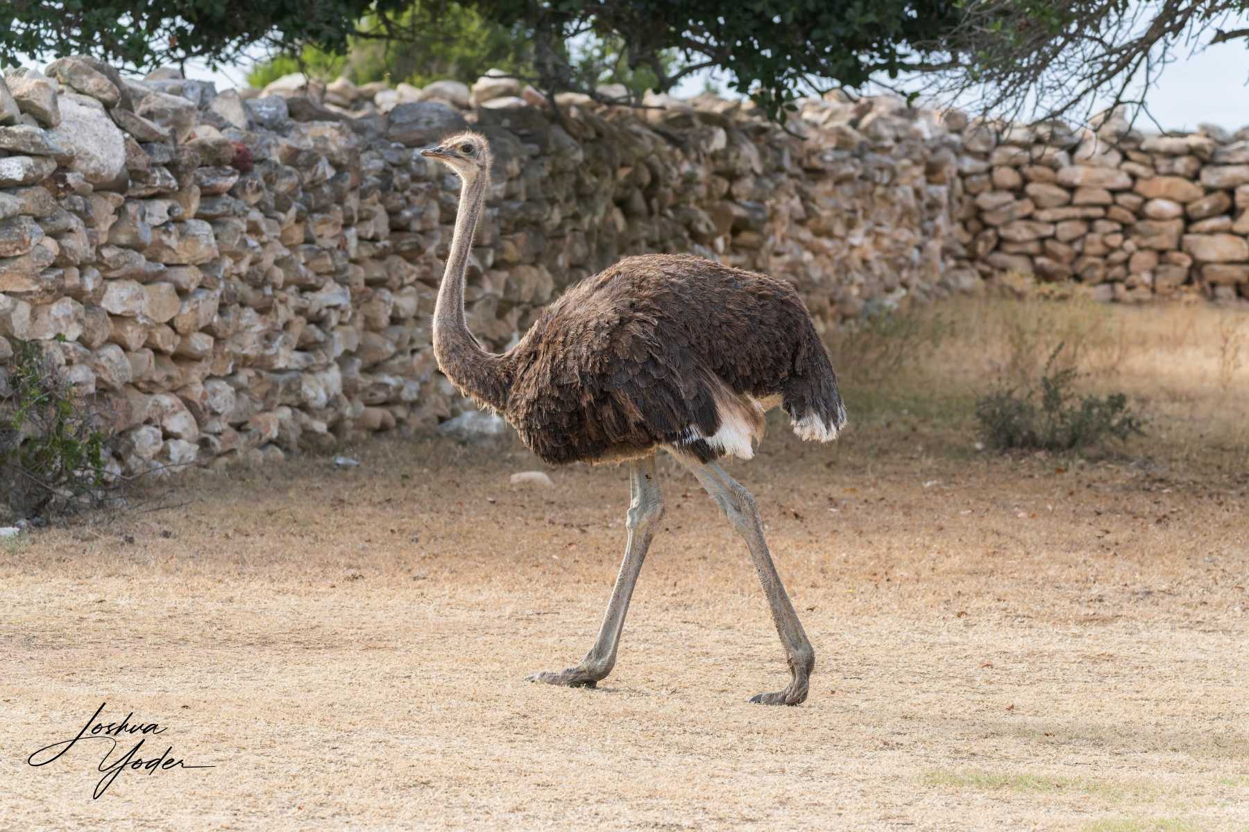 STA1556Westerncape9th-DxO_DeepPRIME-3social-media