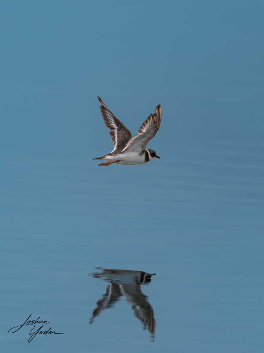 20250109-_SAF8281Westerncape9thsocial-media