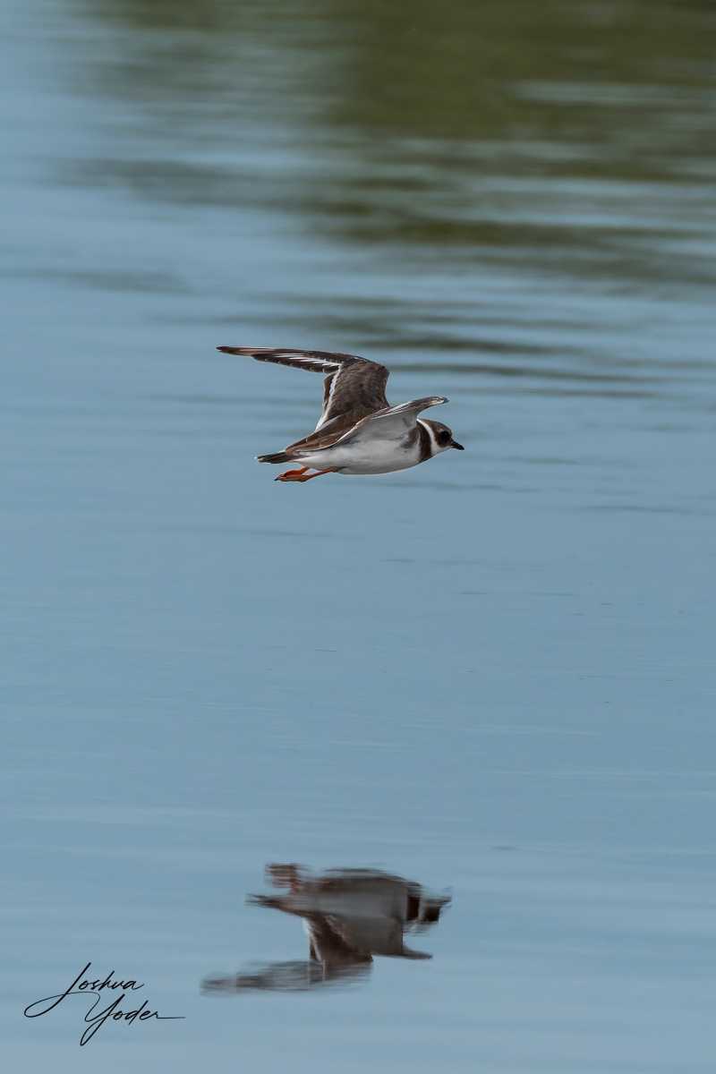 20250109-_SAF8287Westerncape9thsocial-media