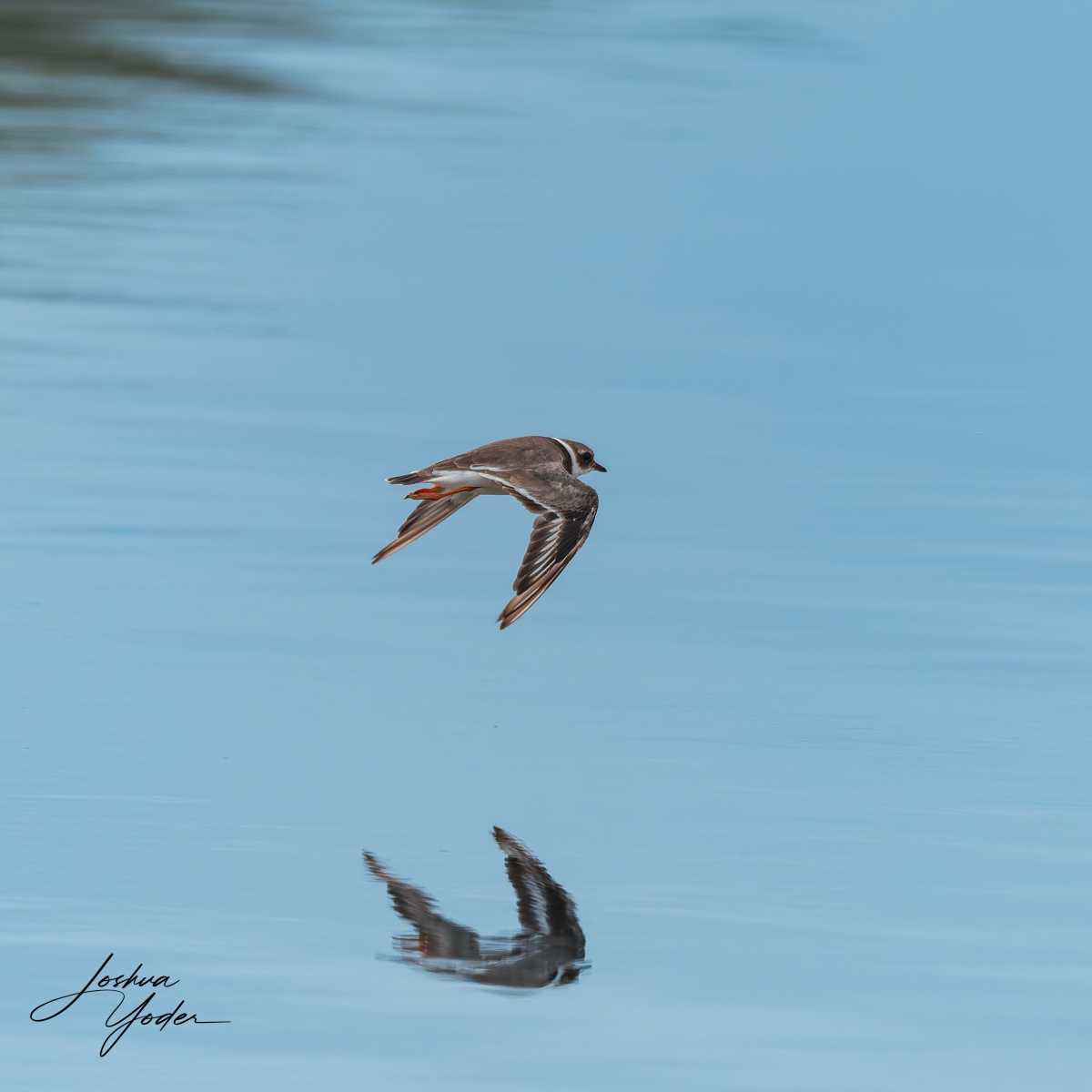 20250109-_SAF8288Westerncape9thsocial-media