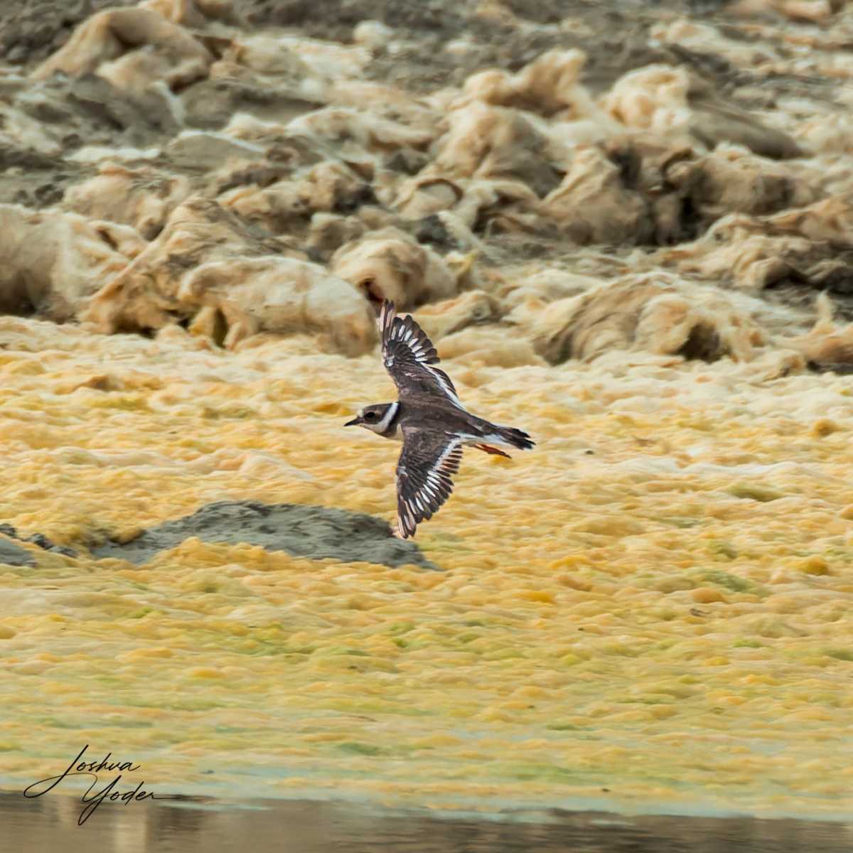 20250109-_SAF8312Westerncape9thsocial-media