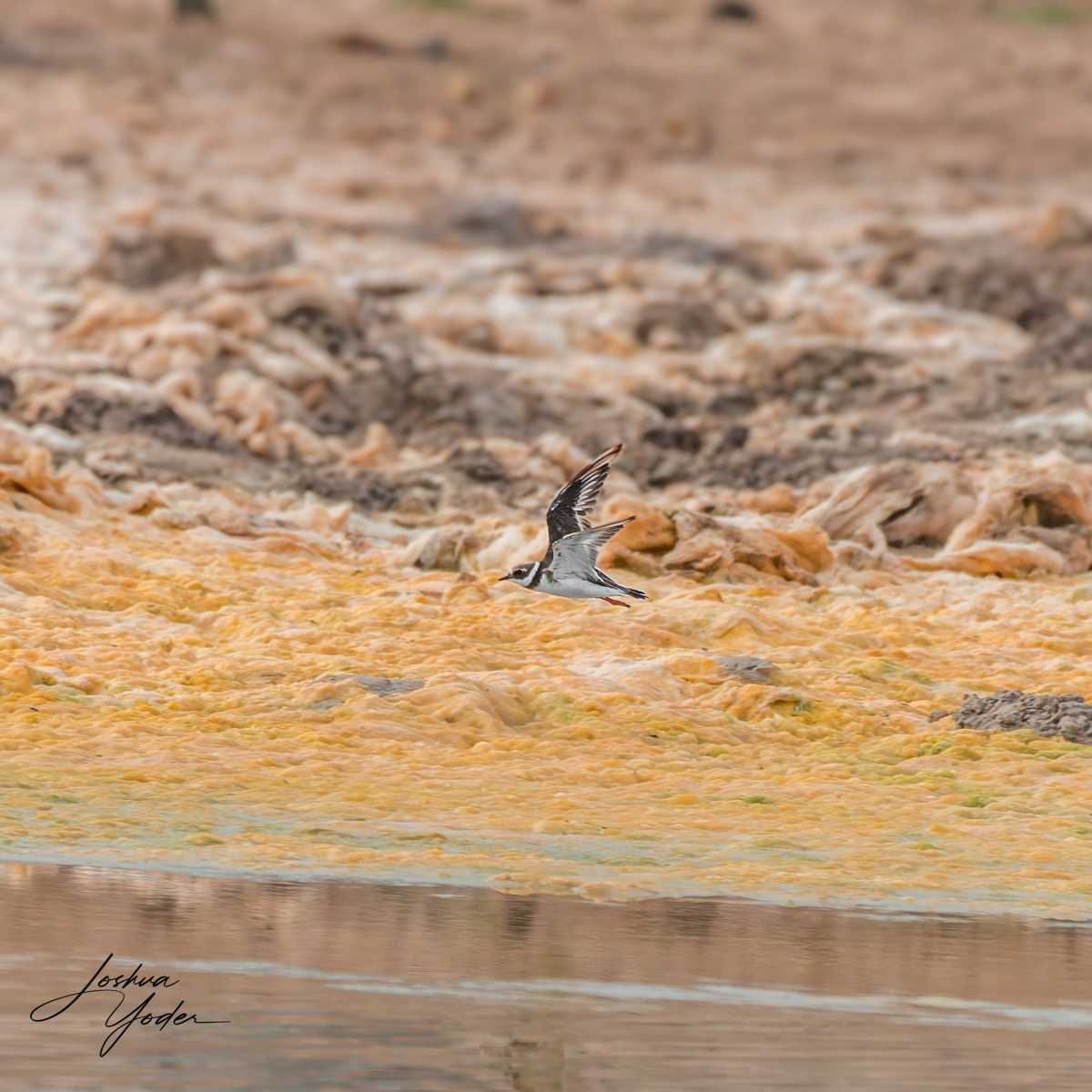 20250109-_SAF8313Westerncape9thsocial-media