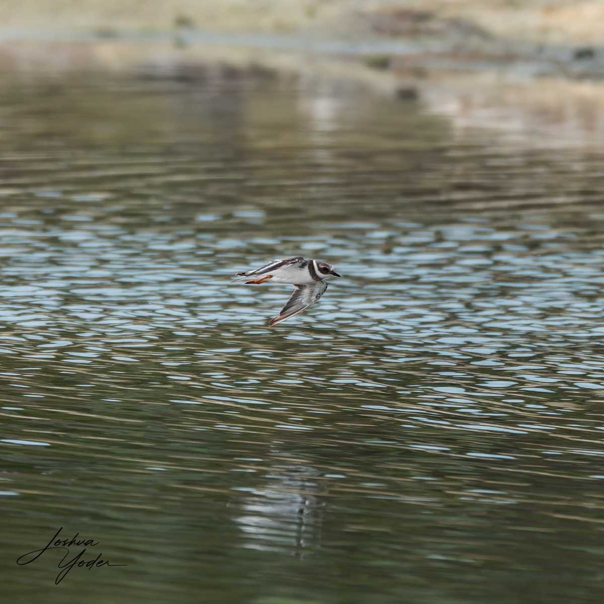 20250109-_SAF8316Westerncape9thsocial-media