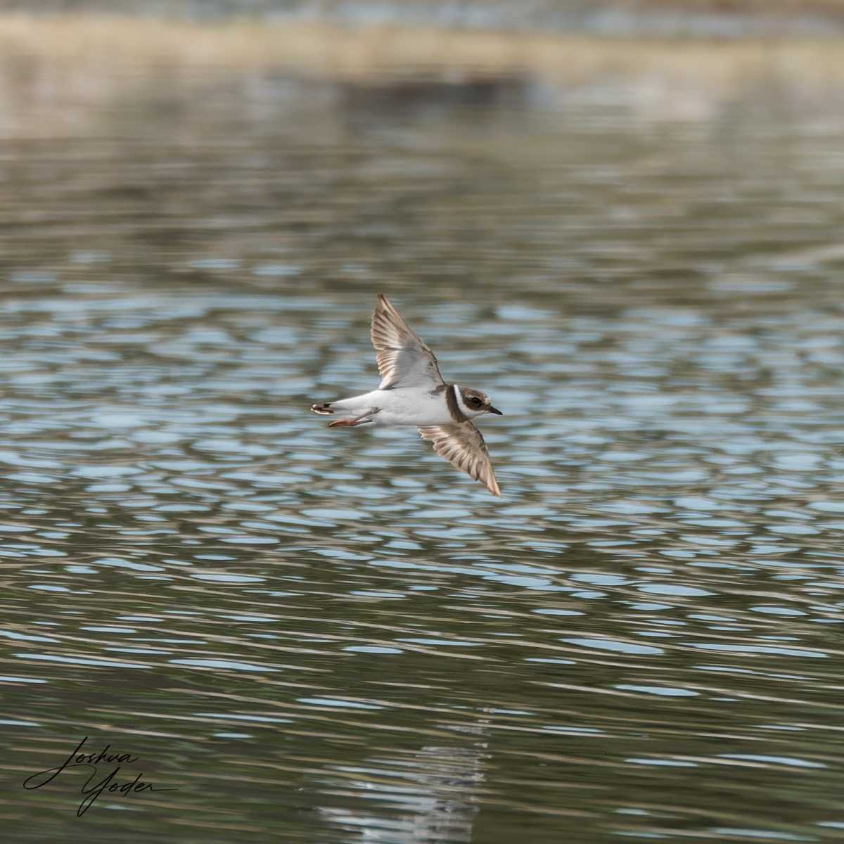 20250109-_SAF8317Westerncape9thsocial-media