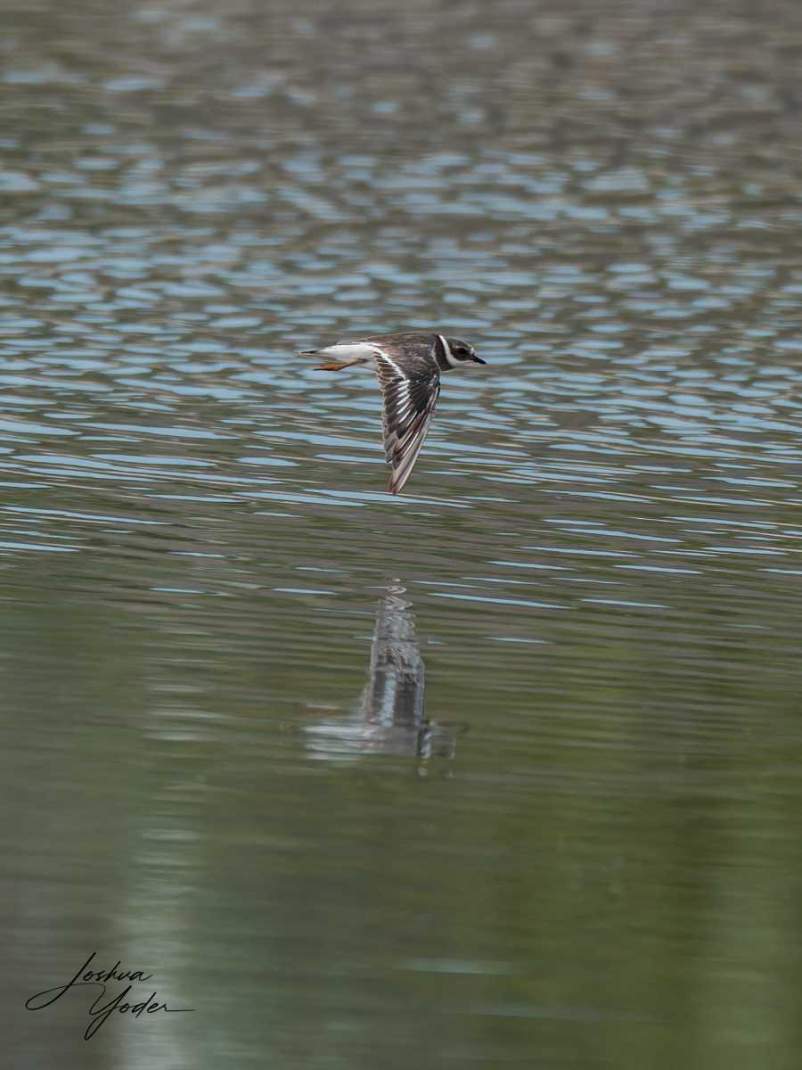 20250109-_SAF8324Westerncape9thsocial-media