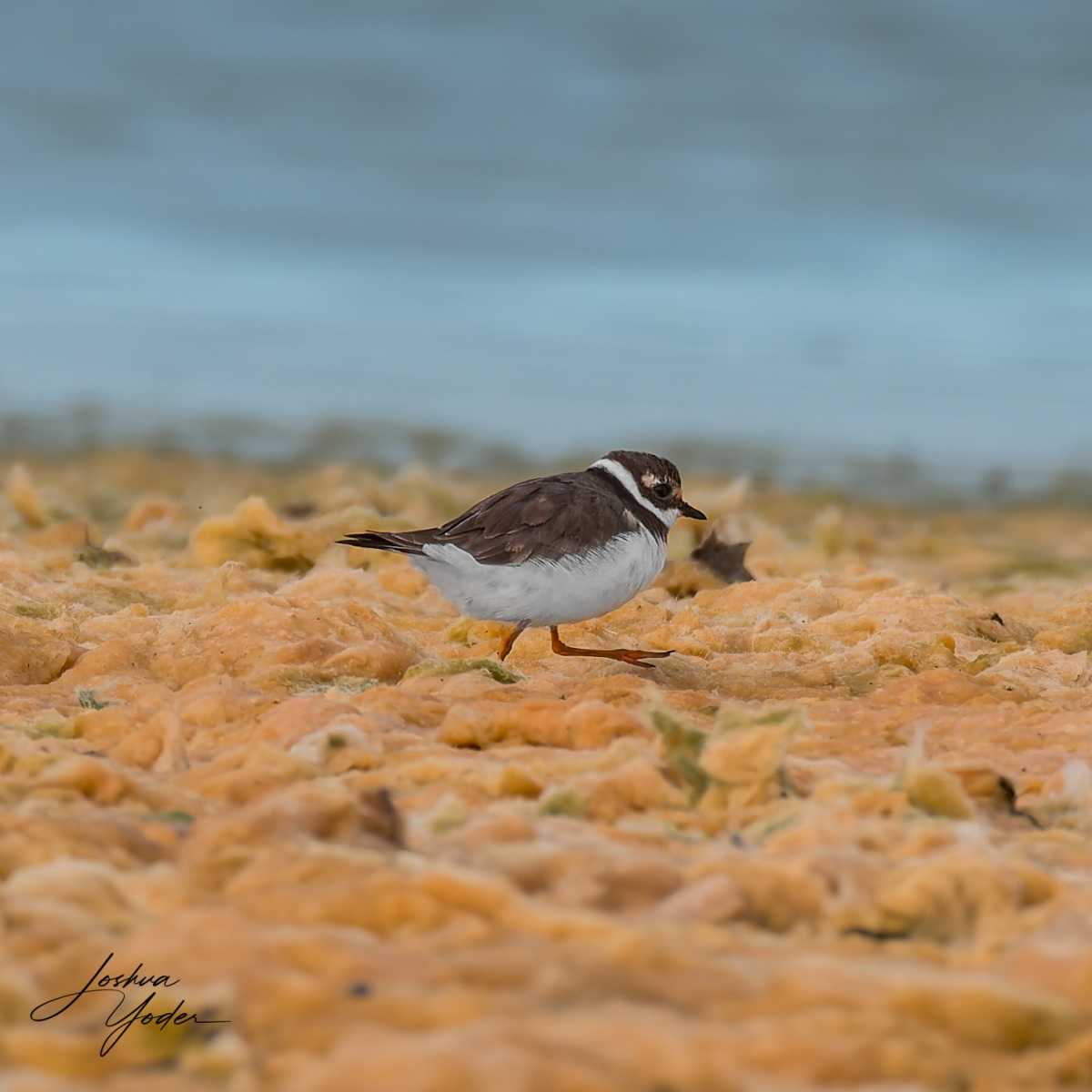 20250109-_SAF8543Westerncape9thsocial-media
