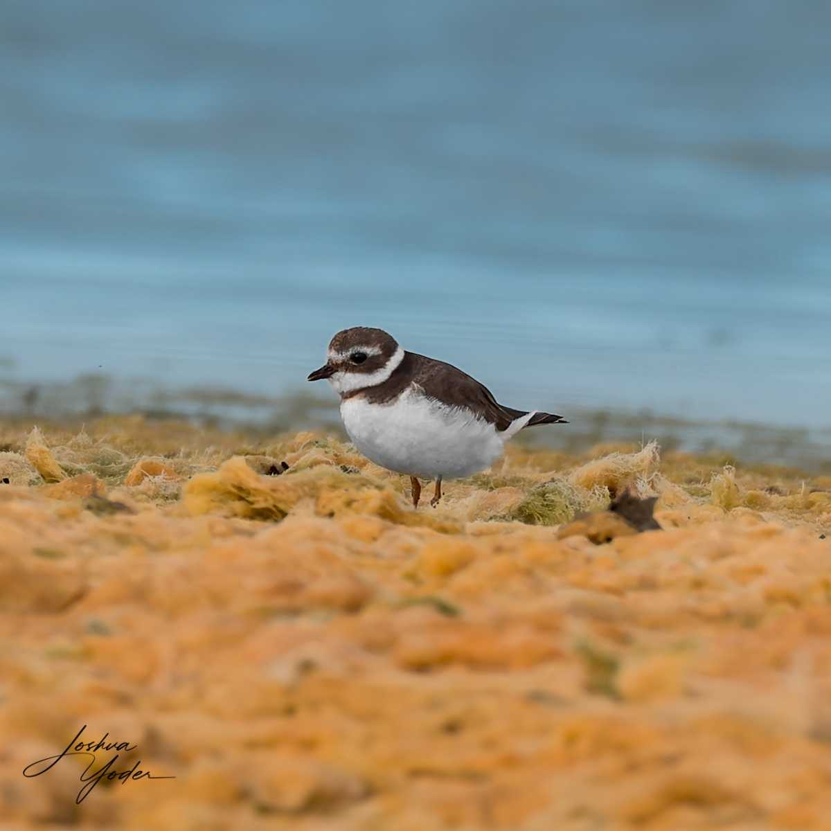20250109-_SAF8570Westerncape9thsocial-media