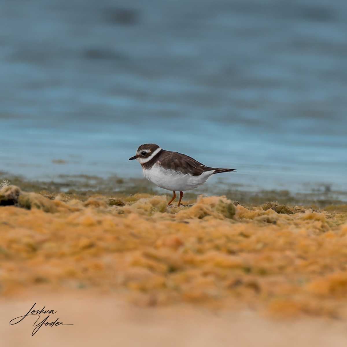 20250109-_SAF8584Westerncape9thsocial-media