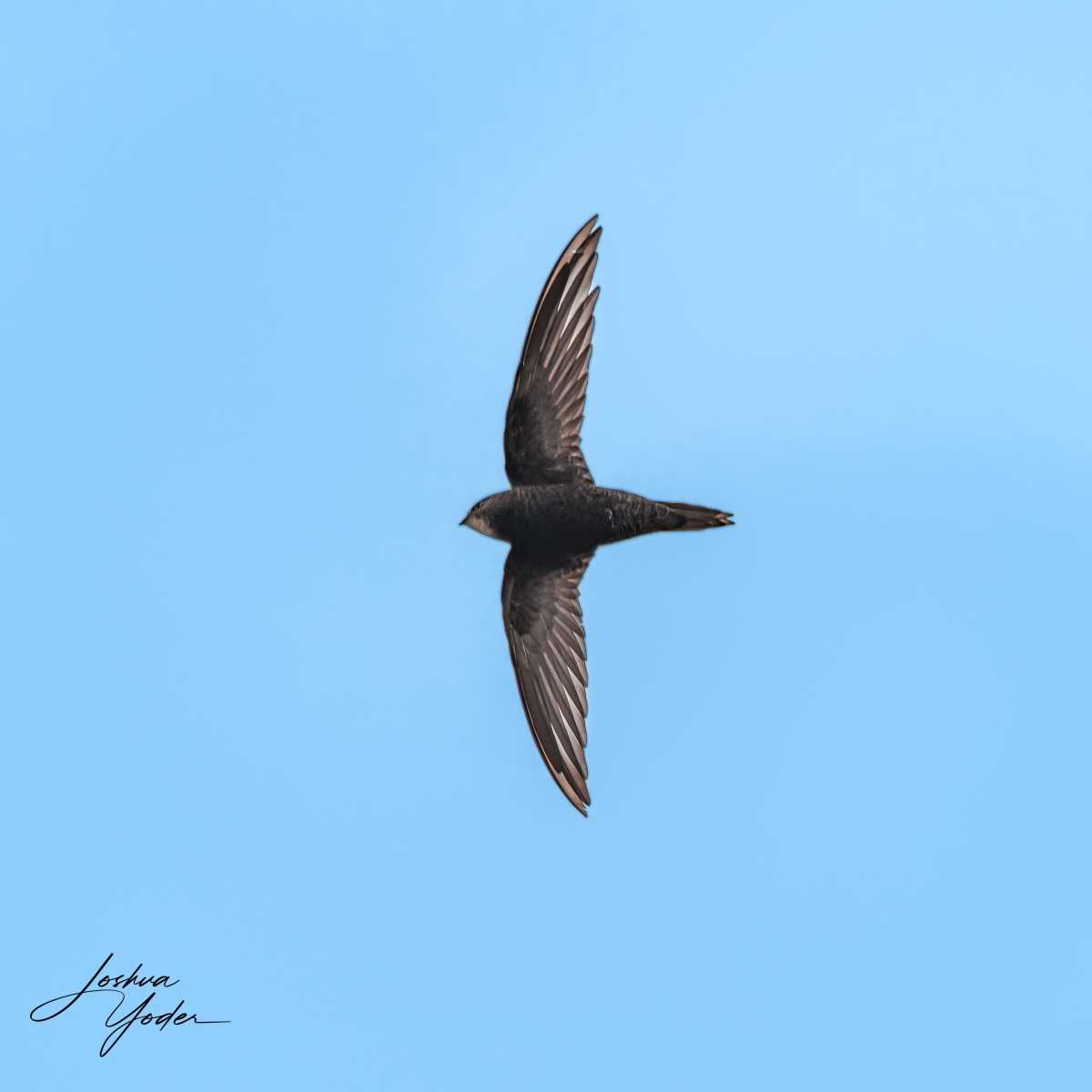 20250108-_SAF7453Westerncape9thsocial-media