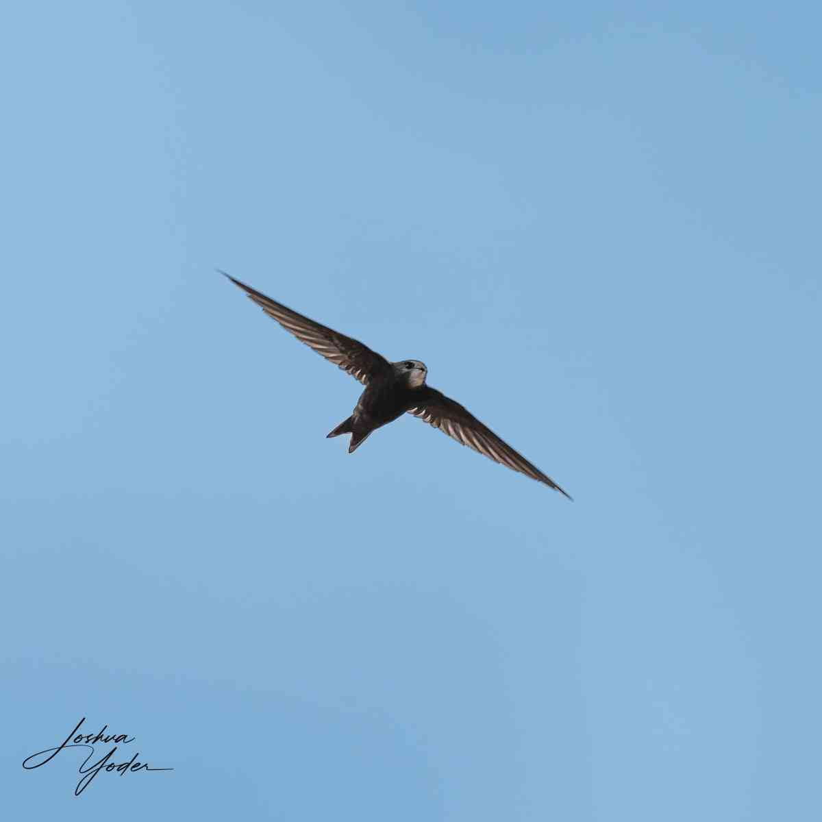 20250108-_SAF7468Westerncape9thsocial-media