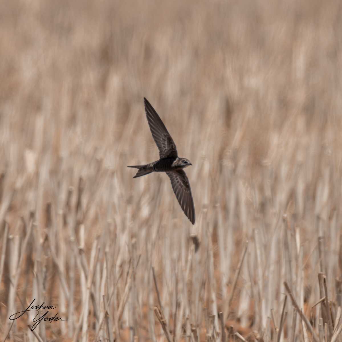 20250109-_SAF9571Westerncape9thsocial-media