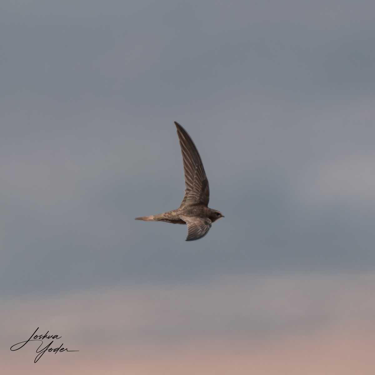 20250109-_SAF9598Westerncape9thsocial-media