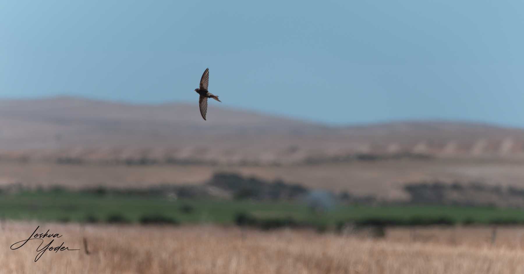 20250109-_SAF9696Westerncape9thsocial-media