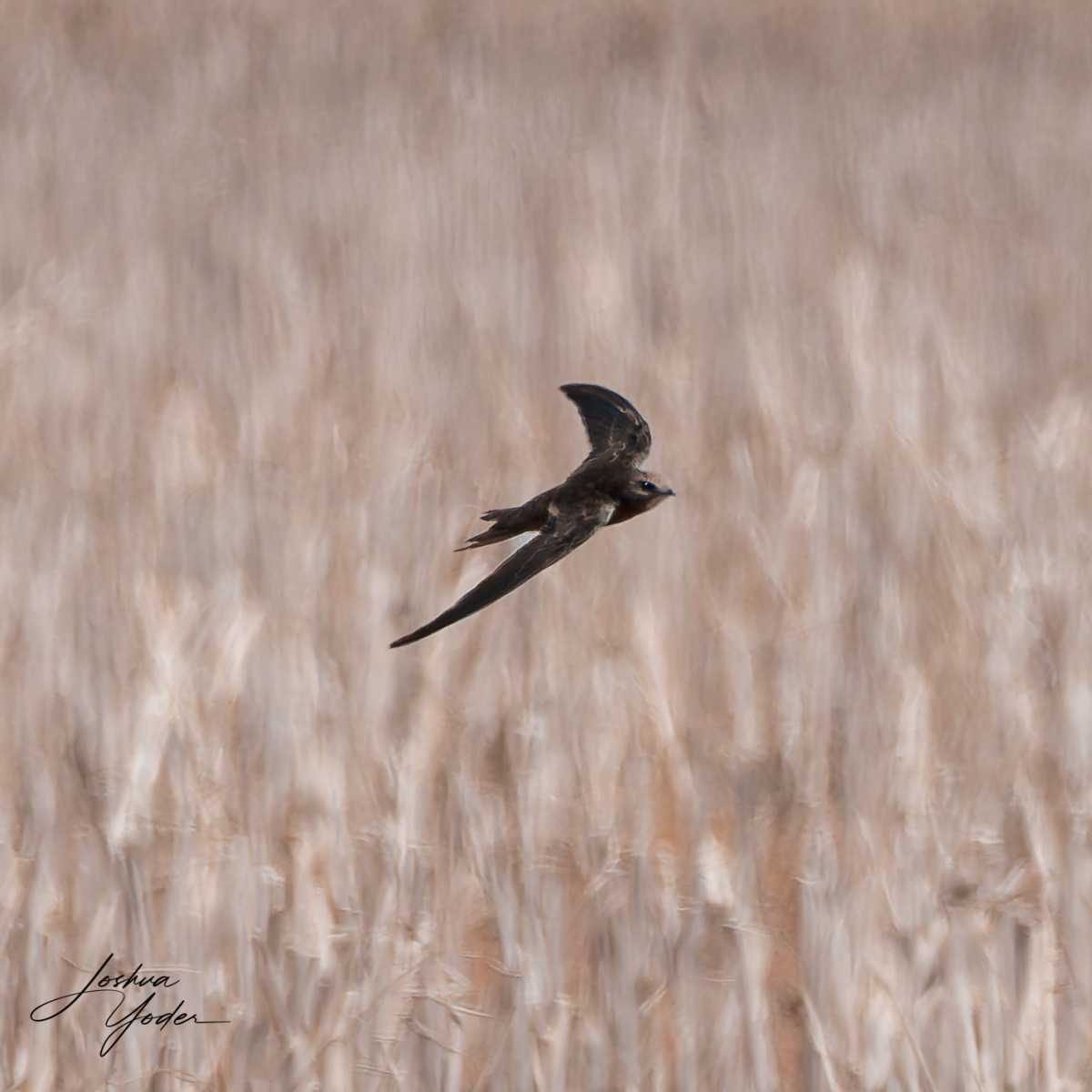 20250109-_SAF9710Westerncape9thsocial-media