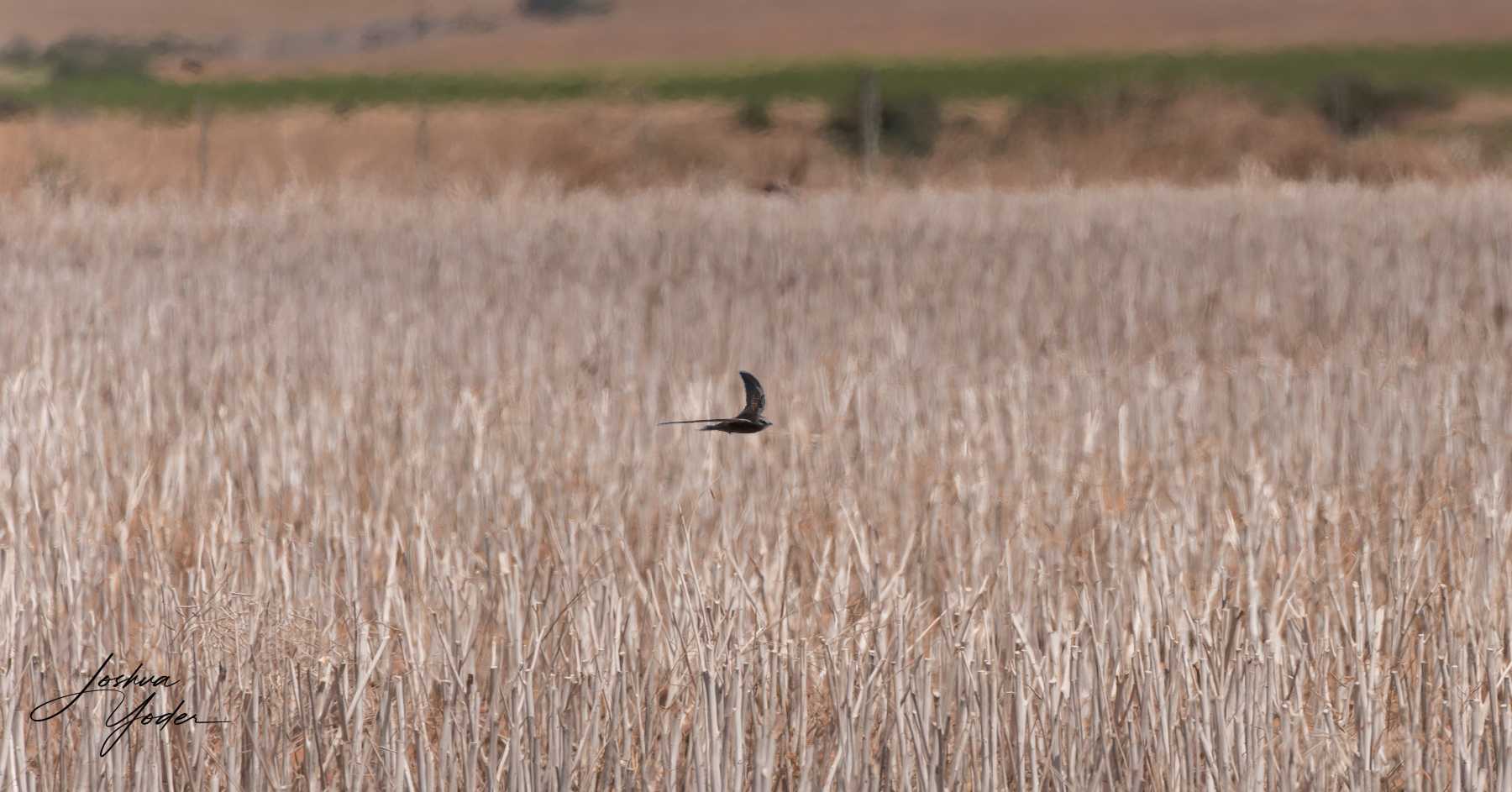 20250109-_SAF9714Westerncape9thsocial-media