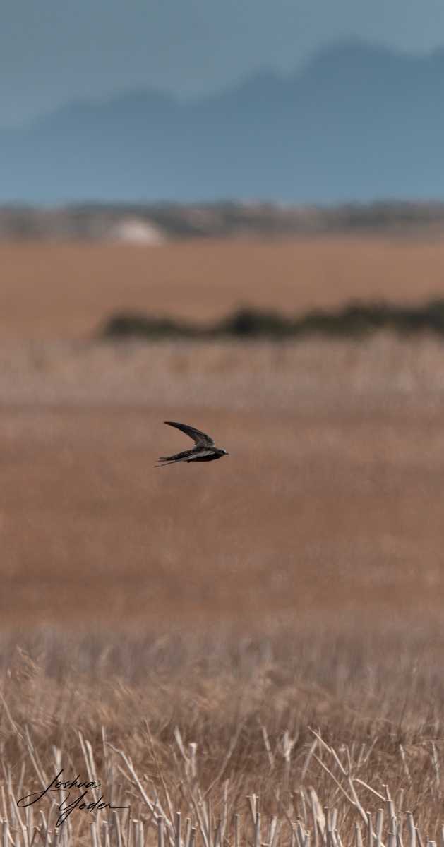 20250109-_SAF9729Westerncape9thsocial-media