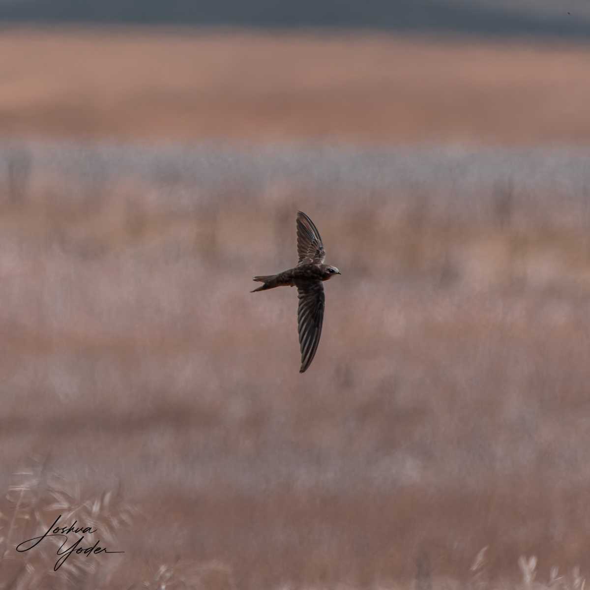 20250109-_SAF9736Westerncape9thsocial-media