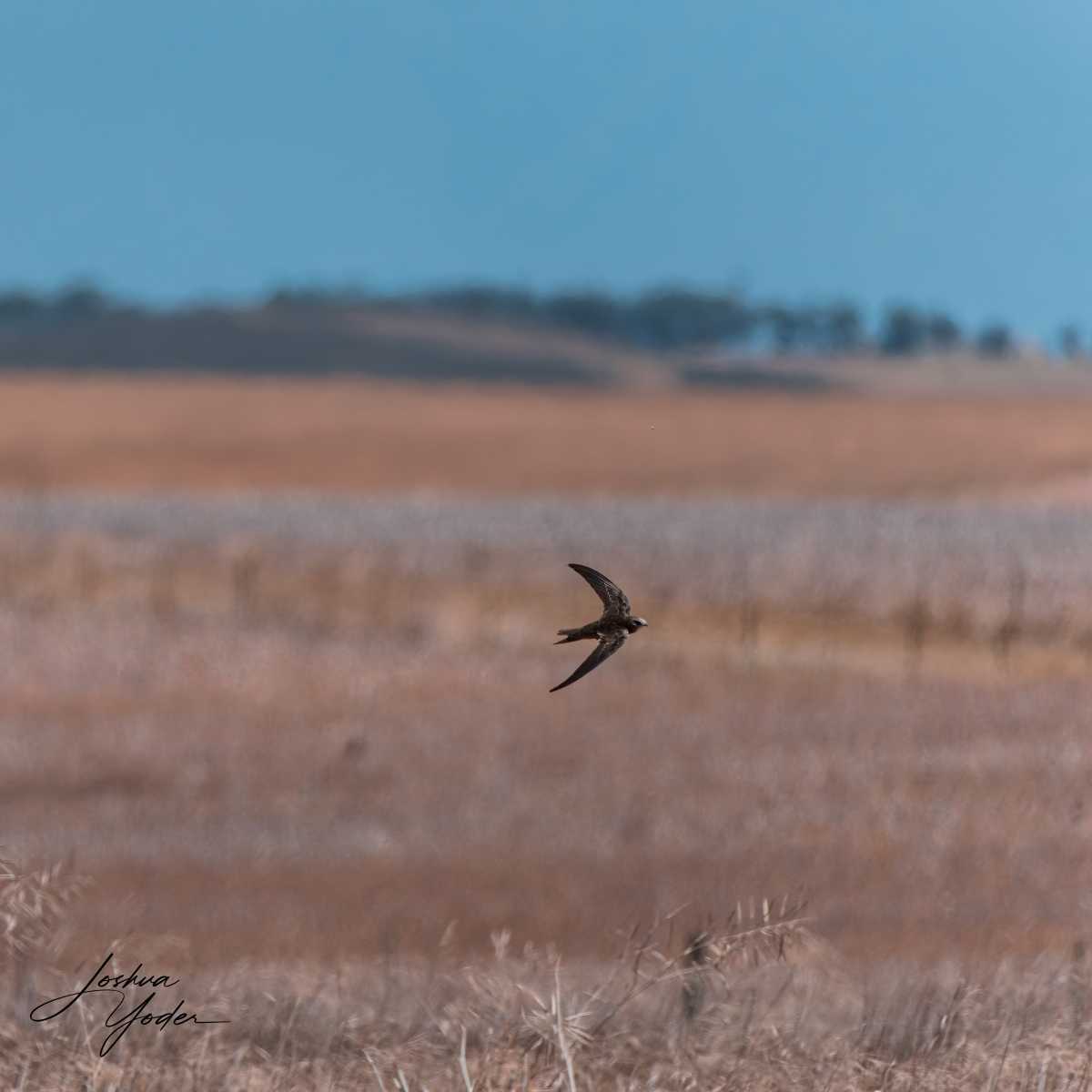20250109-_SAF9737Westerncape9thsocial-media