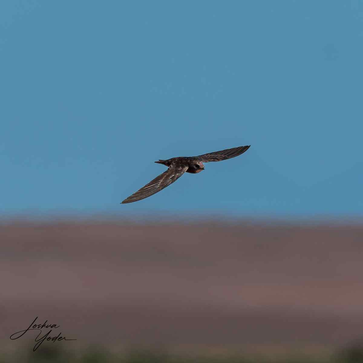 20250109-_SAF9770Westerncape9thsocial-media