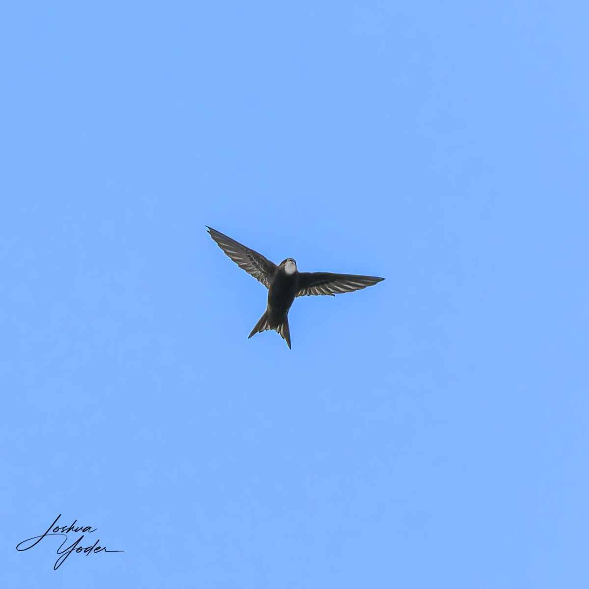 20250109-_STA1510Westerncape9thsocial-media