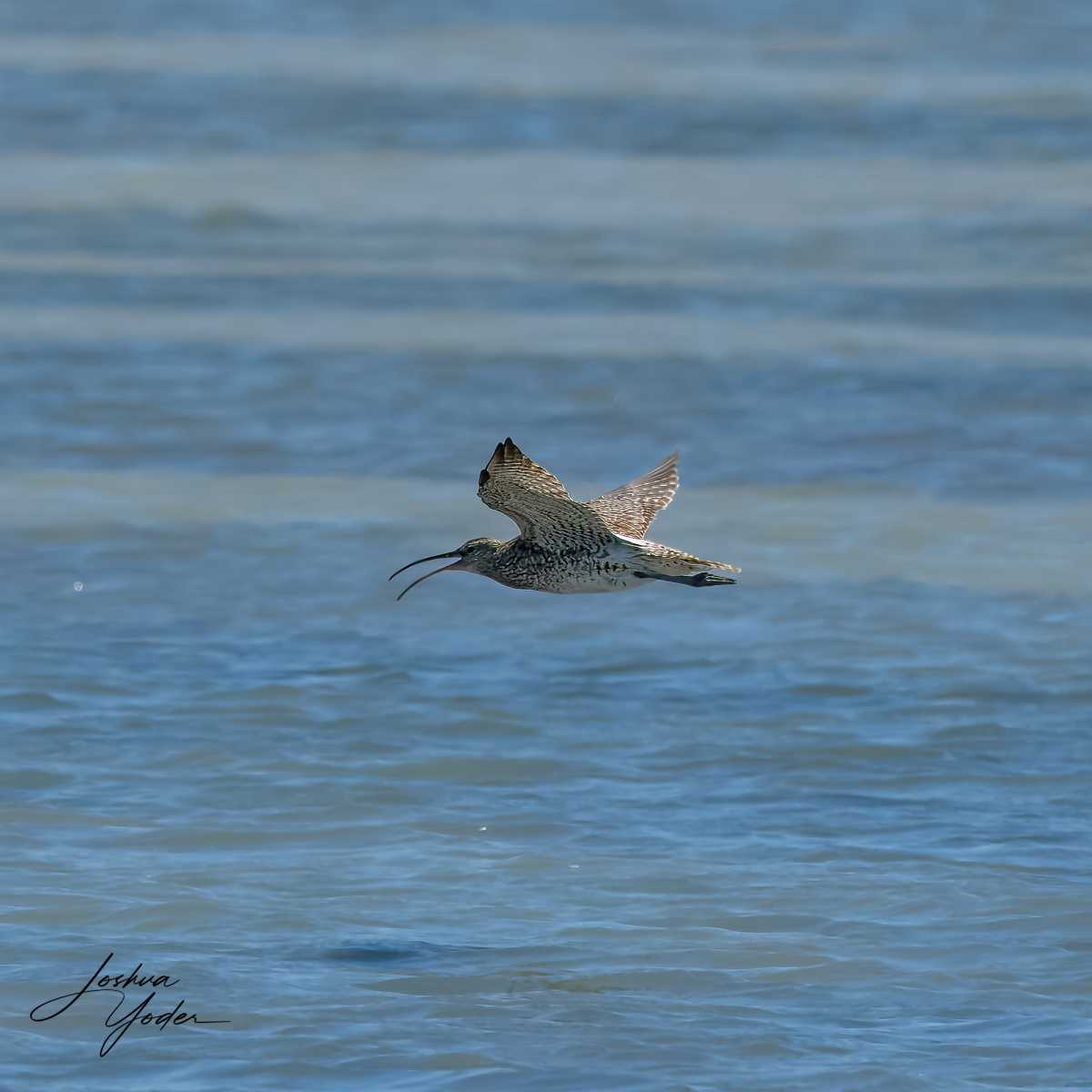 SAF8843Westerncape11th-topaz-rawdenoise-sharpensocial-media