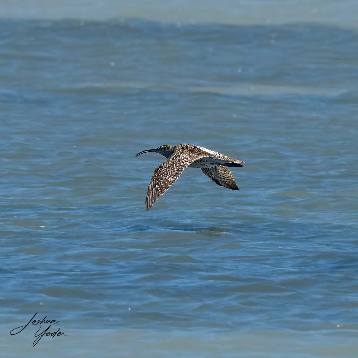 SAF8850Westerncape11th-topaz-rawdenoise-sharpensocial-media