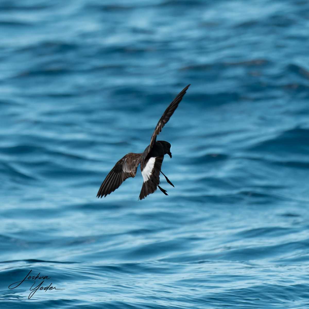 SAF6461-ARW_DxO_DeepPRIMEsocial-media