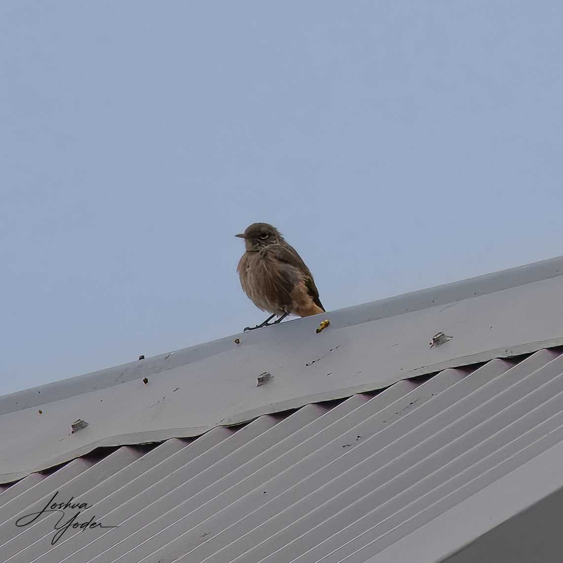 SAF9632Capetown8th-topaz-rawdenoise-sharpensocial-media