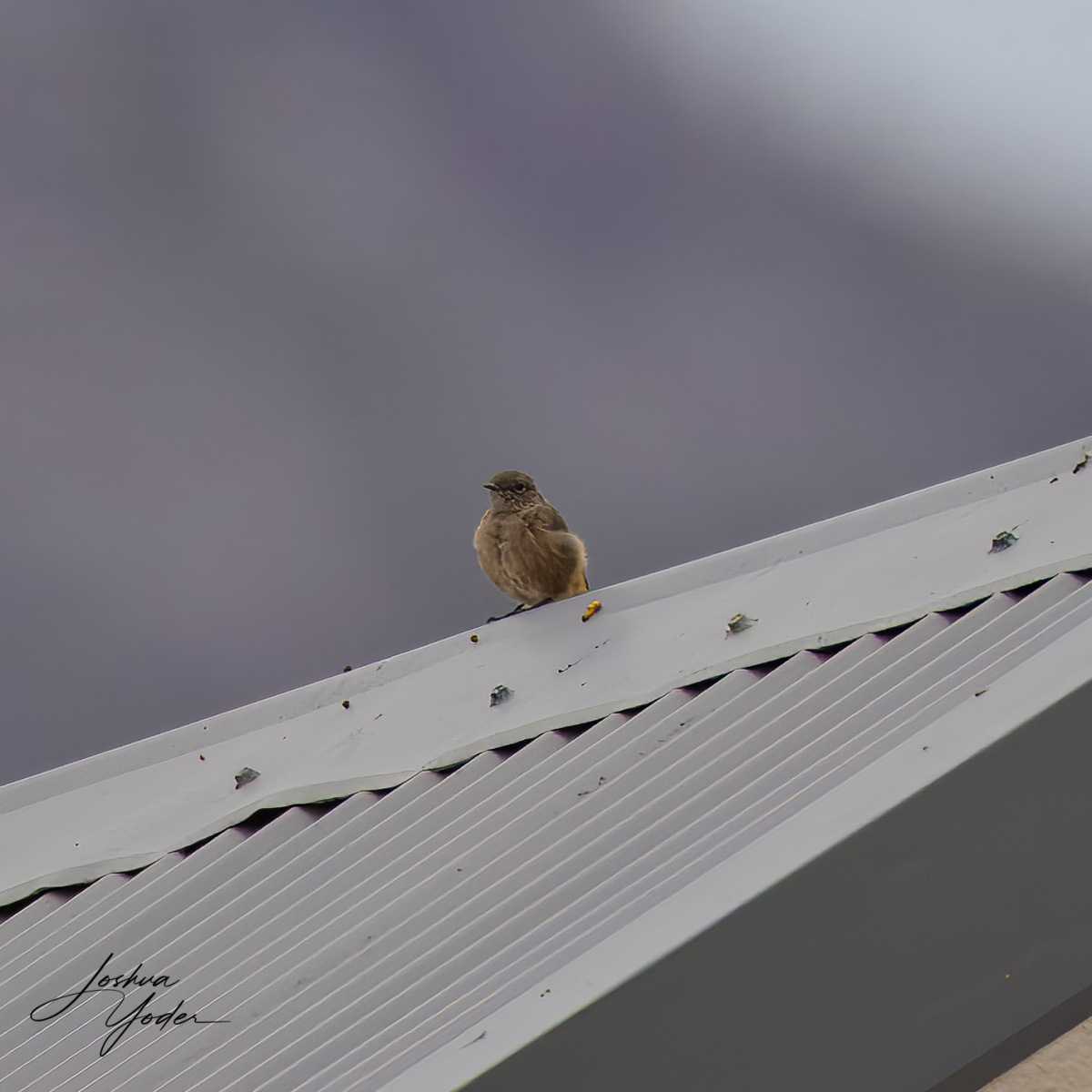 SAF9635Capetown8th-topaz-rawdenoise-sharpensocial-media