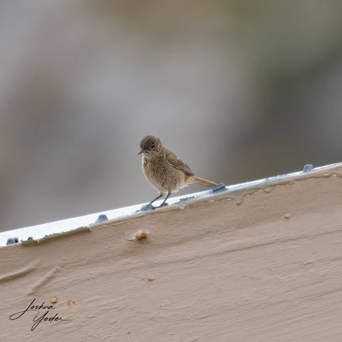 SAF9655Capetown8th-topaz-rawdenoise-sharpensocial-media