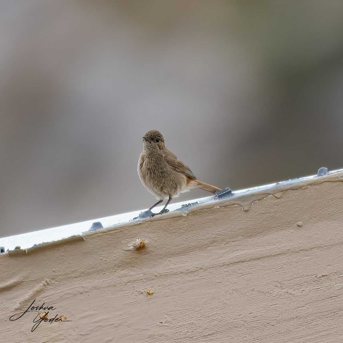 SAF9659Capetown8th-topaz-rawdenoise-sharpensocial-media