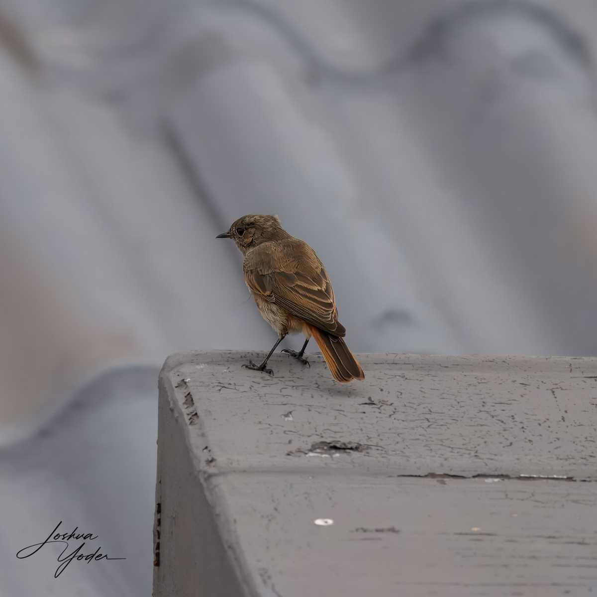 SAF9755Capetown8th-topaz-rawdenoise-sharpensocial-media