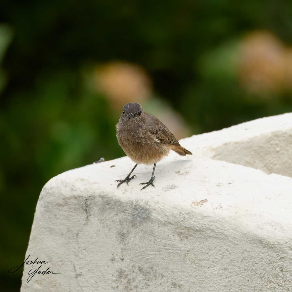 SAF9966Capetown8th-topaz-rawdenoise-sharpensocial-media